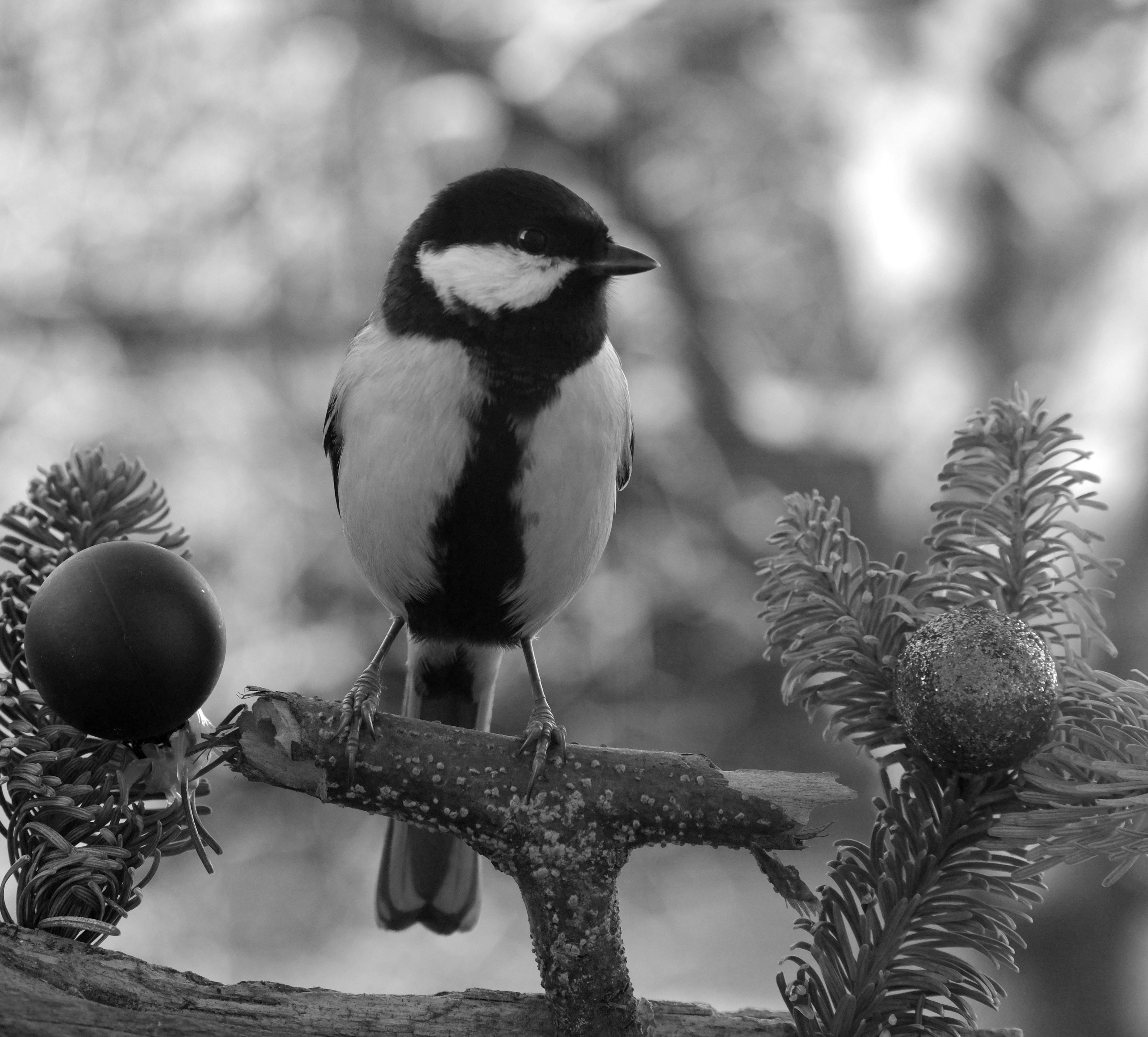 До обработки